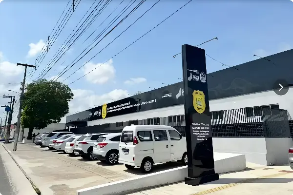 (Foto: Polícia Civil Piauí)