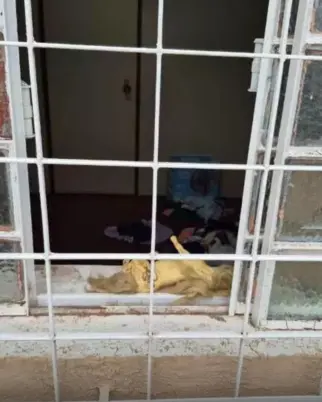Boneca, ventilador e roupas sujas: veja local onde Manu foi morta