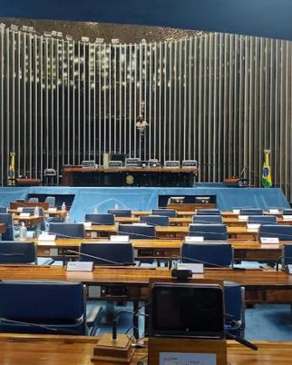 Congresso deve analisar lei da 'adultização' nesta quarta-feira (27)