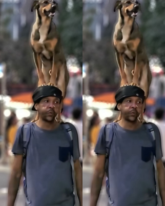 Morador de rua surpreende ao caminhar com cachorro na cabeça; veja  (Foto: Reprodução/redes sociais)