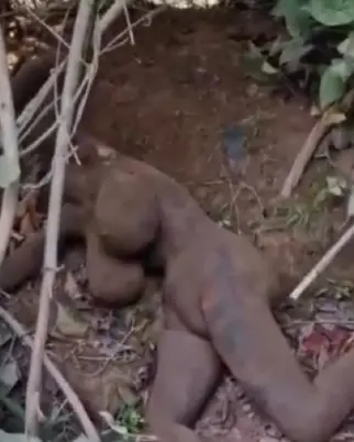 Policiais encontraram boneca enterrada