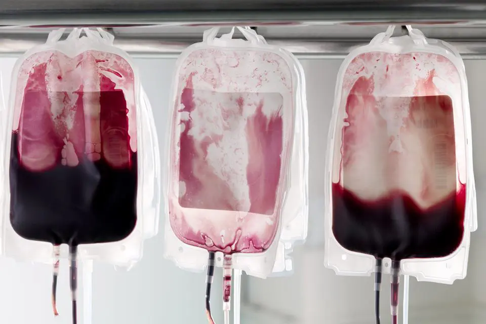 Por que Testemunhas de Jeová não podem fazer transfusão de sangue?