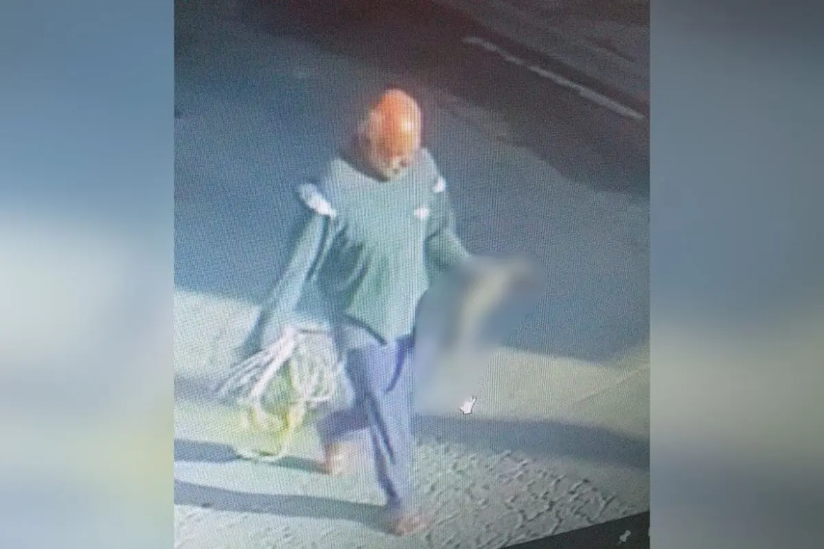Serial killer de gatos é preso após espalhar terror em SP; saiba detalhes