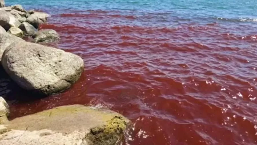 Fenômeno no mar da Galileia deixa águas vermelhas e assusta turistas