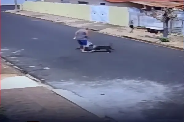 Pitbull ataca idoso que levava bisneta para escola (Foto: Reprodução Câmera de Segurança)