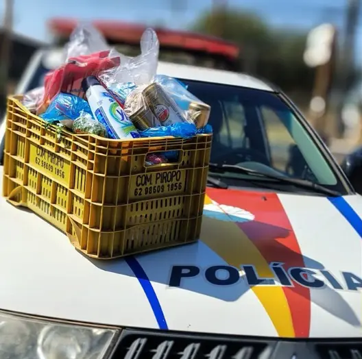 produtos estavam armazenados no carro que ela utilizava para circular entre os comércios Divulgação/PMDF