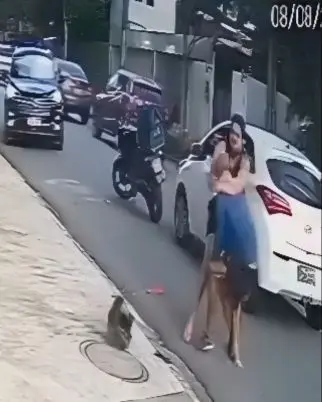 De porrada à abraço: briga de trânsito tem final inusitado no PE (Foto: Reprodução Câmera de Segurança)