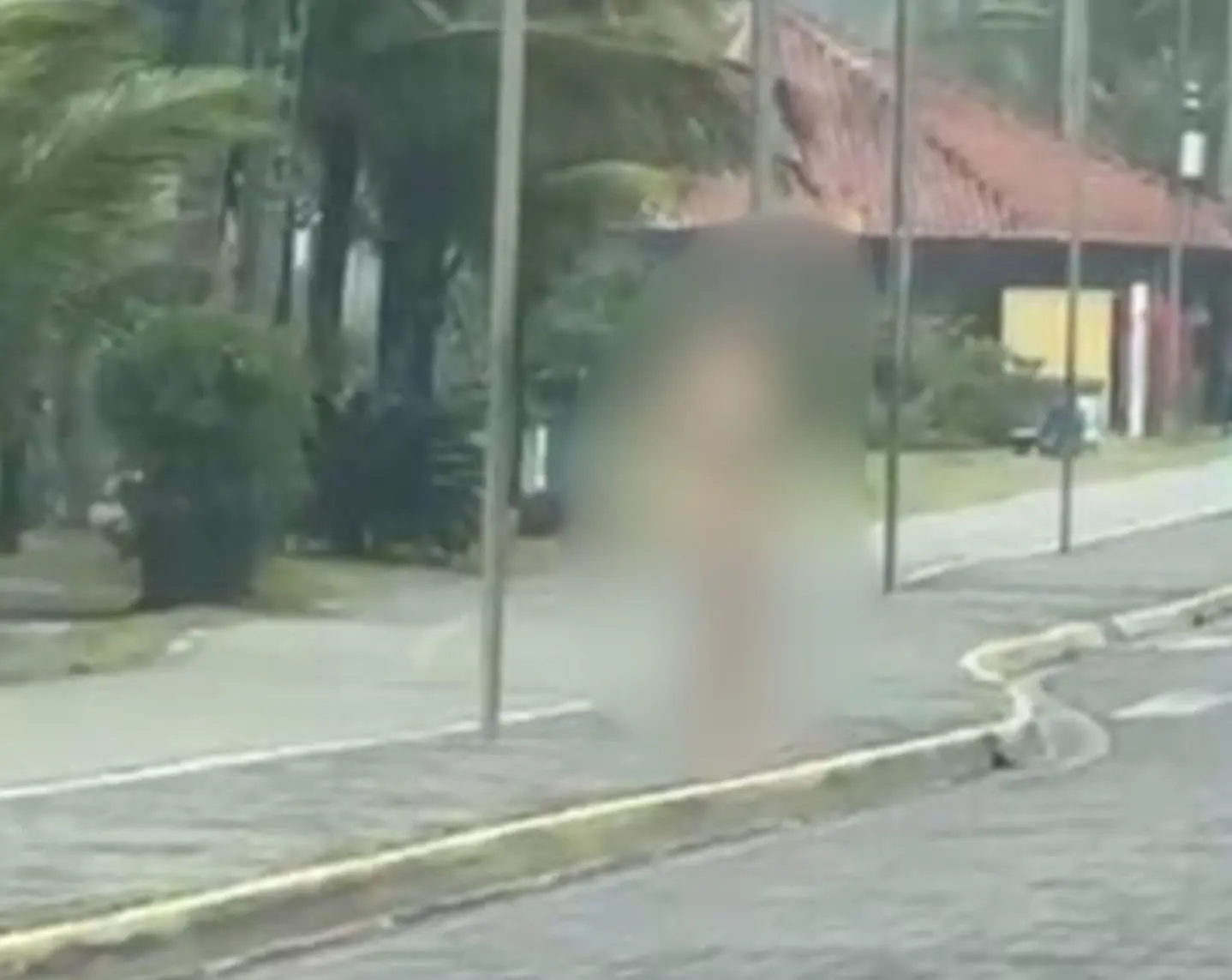 Mulher mata o próprio pai e sai nua no litoral
