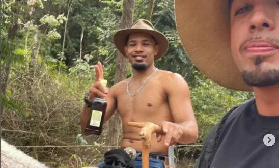 Cavalo mutilado em Bananal: entenda o que a lei prevê para o crime que chocou o Brasil