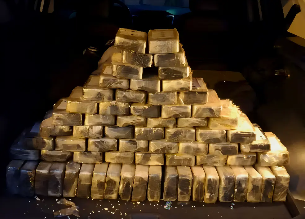 Justiça solta homem preso com 200kg de cocaína: 