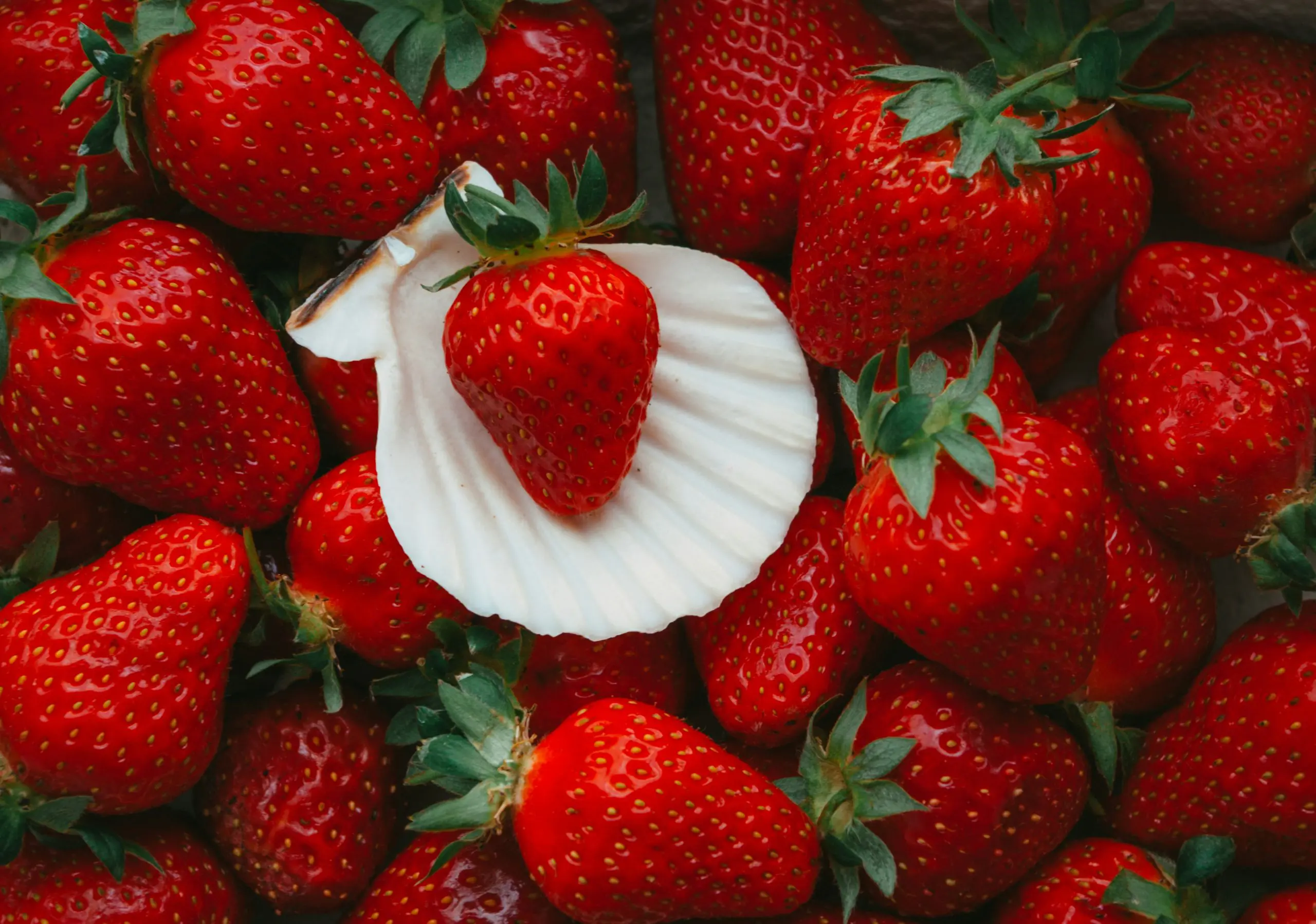 O morango é um alimento antioxidante e afrodisíaco (Foto: Summer Rune/Unsplash)
