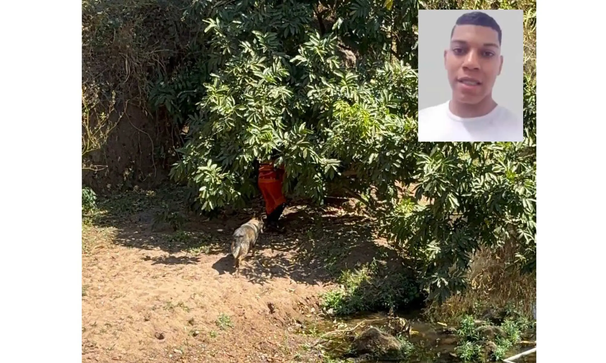 Jovem sai de casa para procurar cavalo e é encontrado morto