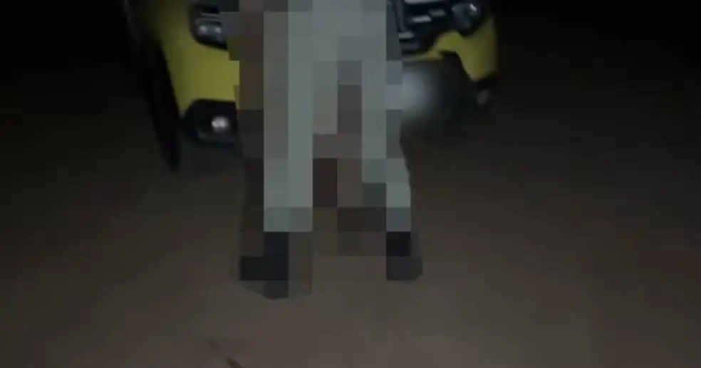 Sexo na viatura: Saiba o que é cuckhold, o prazer em ver parceira com outra pessoa