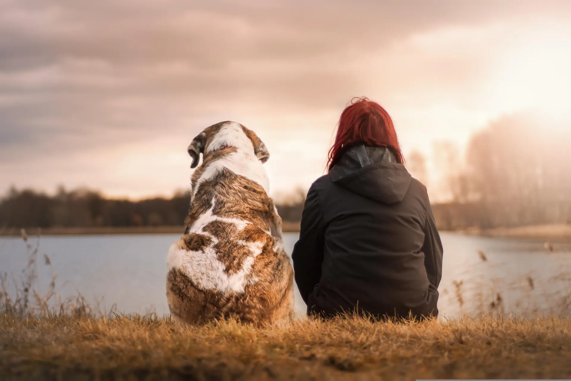 O amor pelos pets pode ter começado bem antes do que a gente imaginava