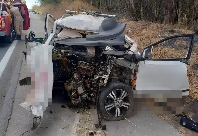 Referência em proteção animal, advogada morre em acidente ao lado dos seus três cachorros (Foto: Divulgação/Corpo de Bombeiros)