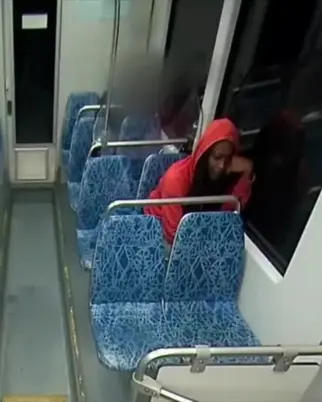 Jovem foi morta a facadas dentro do trem