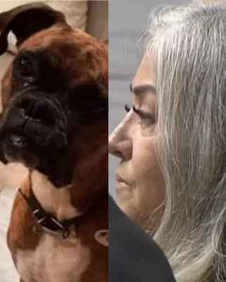Laura Lee Yourex, de 62 anos, registrou o cachorro como eleitor  (Foto: Reprodução/Redes sociais)
