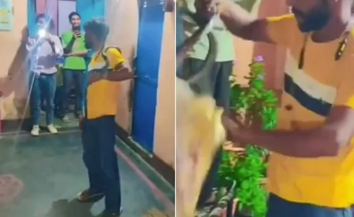 Homem recebe R$ 35 para capturar cobra e morre após picada