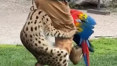 Reprodução / redes sociais