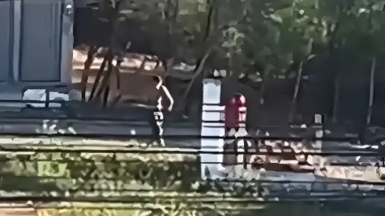 (Reprodução / redes sociais)