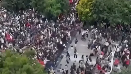 Reprodução