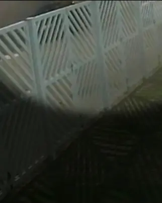 Novas imagens mostram transporte de fuzil usado na morte de delegado