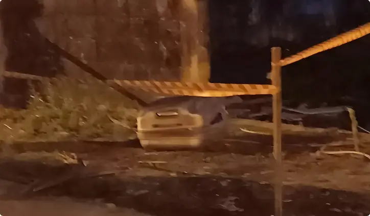 Crianças encontram corpo dentro de mala enquanto brincavam na rua (Foto: Reprodução Polícia Civil SP)