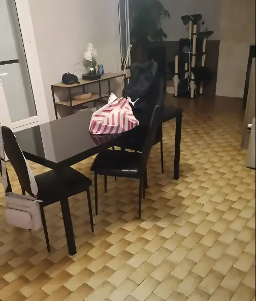 Francesa filma suposta ação de fantasma em casa