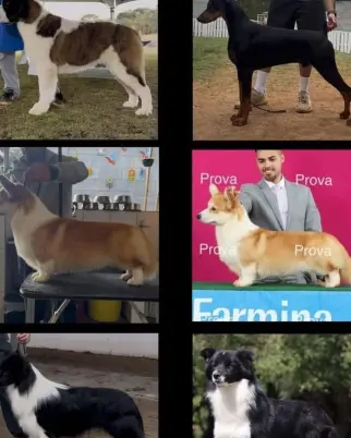 Reprodução / redes sociais