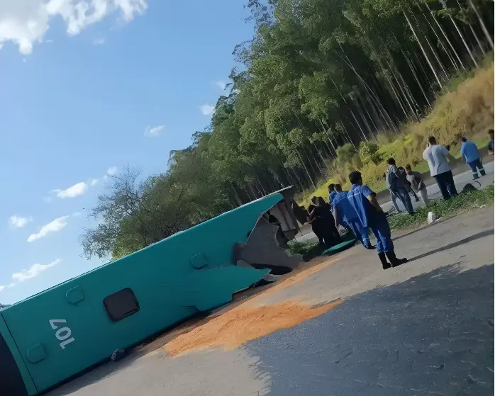 Acidente grave entre dois ônibus deixa quatro mortos e 31 feridos em MG (Foto: Bombeiros MG)