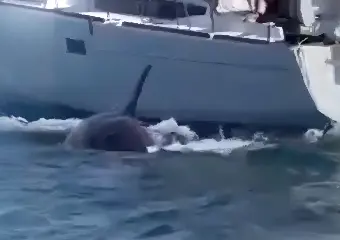 Imagens: reprodução/rede social
