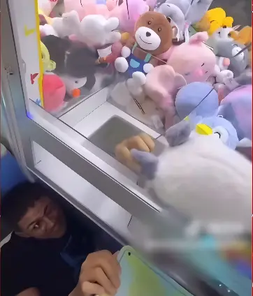 Engraçadinho furta ursos de pelúcia em máquina de shopping e acaba preso (Foto: Divulgação/PCES)
