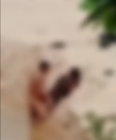 Casal é flagrado fazendo sexo em praia famosa do Nordeste
