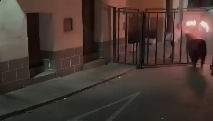 Touro com fogo no chifre rompe barreira de metal e foge de tourada na Espanha (Foto: Redes Sociais)