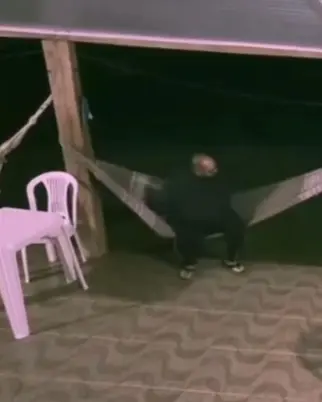 Vídeo: pescador corre ao perceber a aproximação de uma onça-parda