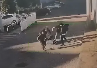 Imagens: reprodução/circuito