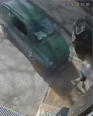 Imagens: reprodução/circuito