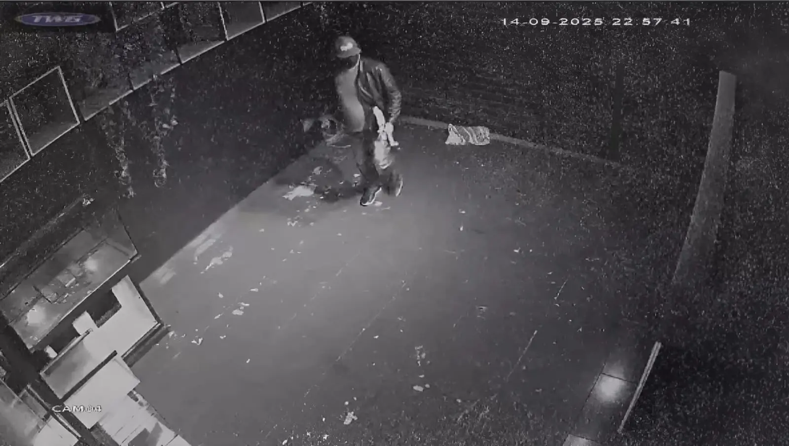 Vândalo destrói aquários de loja e mata peixes e corais. Vídeo