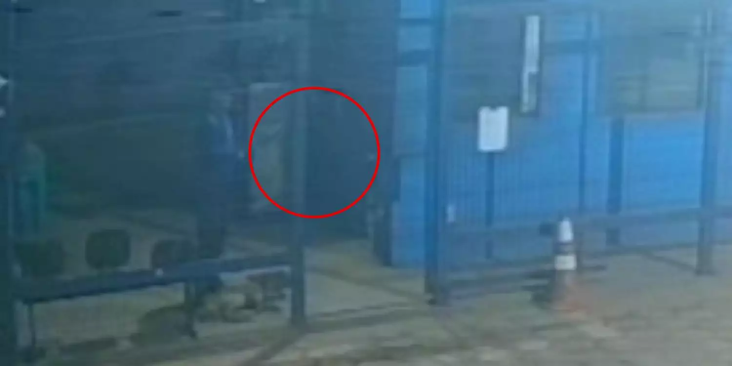 Vídeo: segurança pede demissão após ‘revistar fantasma’ em empresa