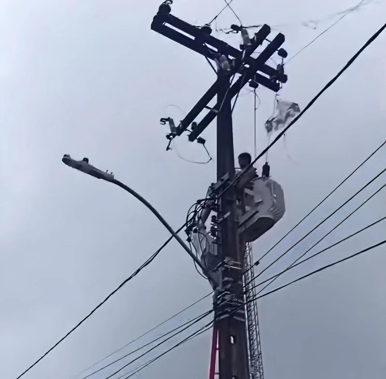 Menino tenta pegar pipa e fica preso em poste no Recife — Foto: (Reprodução/Redes sociais)
