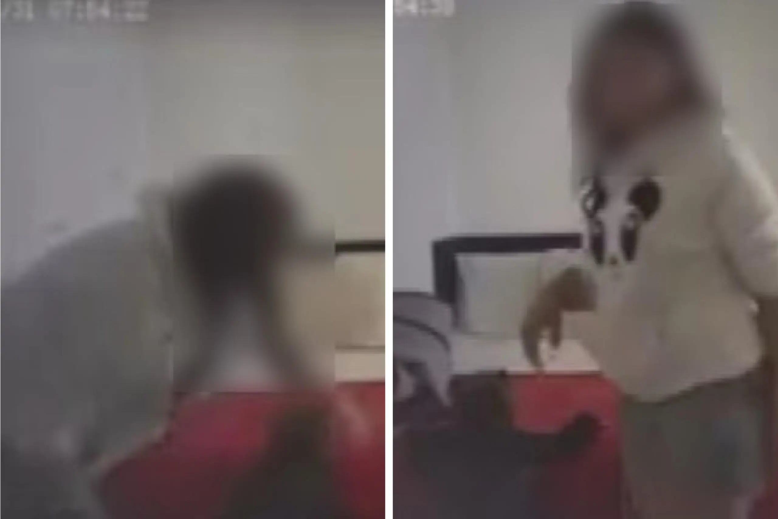 Pai desconfia da mulher e câmera do quarto mostra o pior