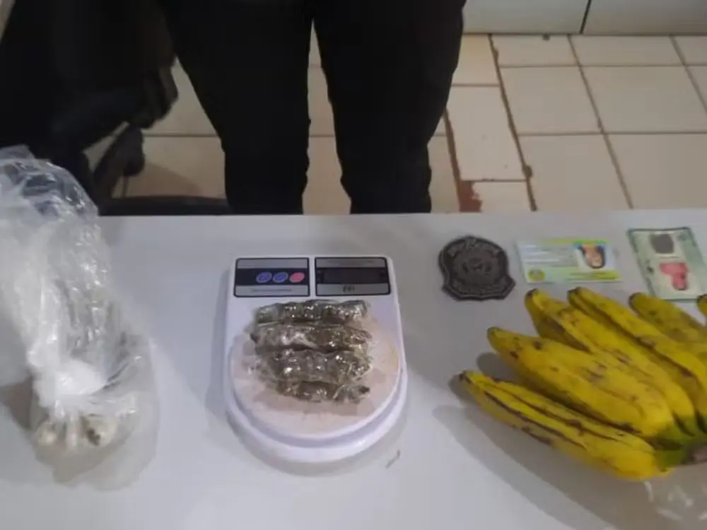 Maconha é encontrada dentro de bananas que seriam entregues a presos no AC — Foto: Asscom/Iapen