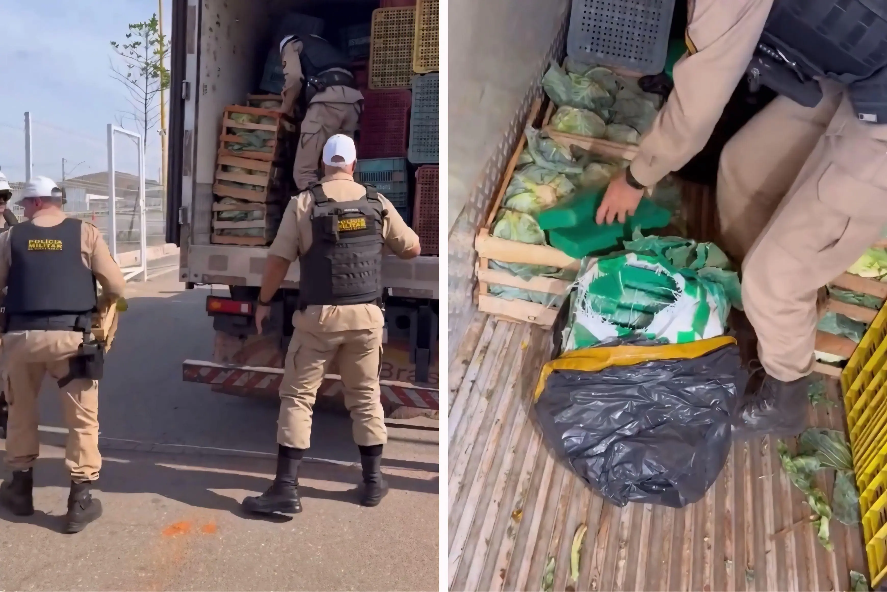 Polícia Militar encontram drogas em repolhos na estrada de Capitólio em Minas Gerais | Reprodução: Internet 
