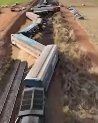Descarrilamento em Araraquara (reprodução/rede social