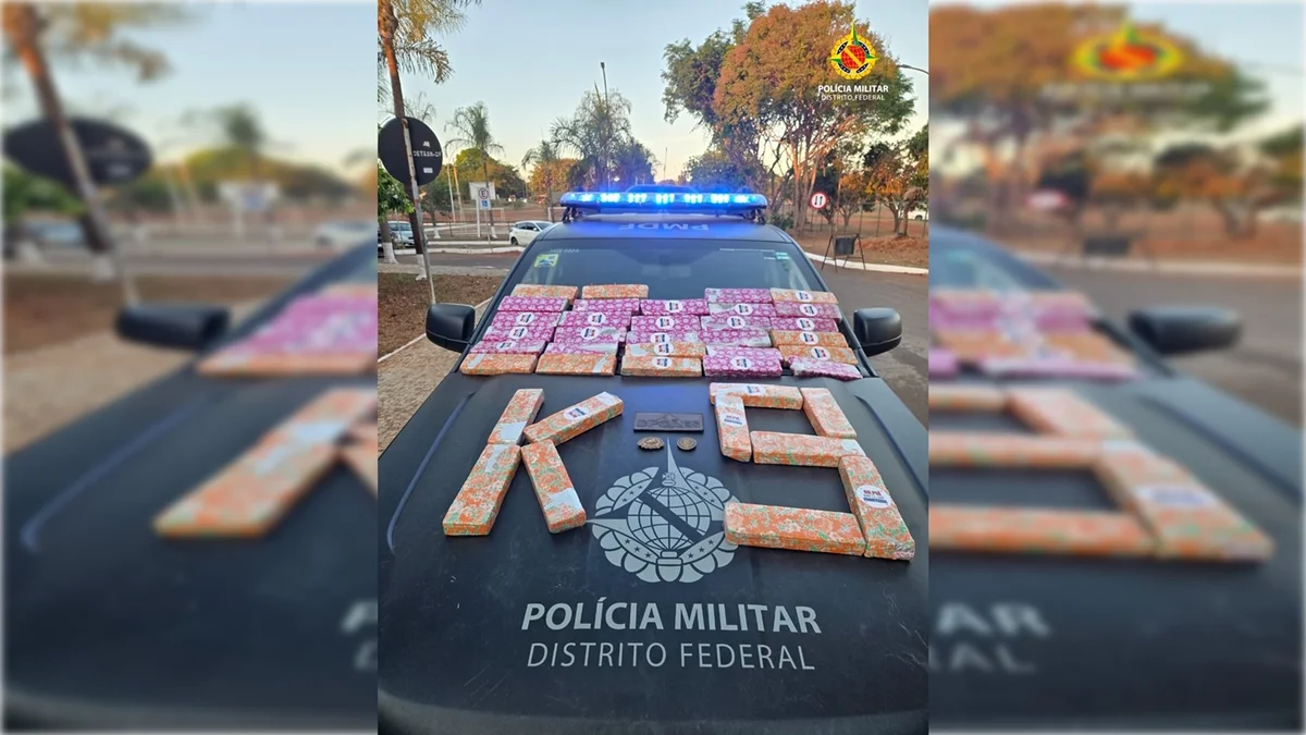 Foram apreendidos 39 tabletes de maconha com destino ao DF - Divulgação/PMDF