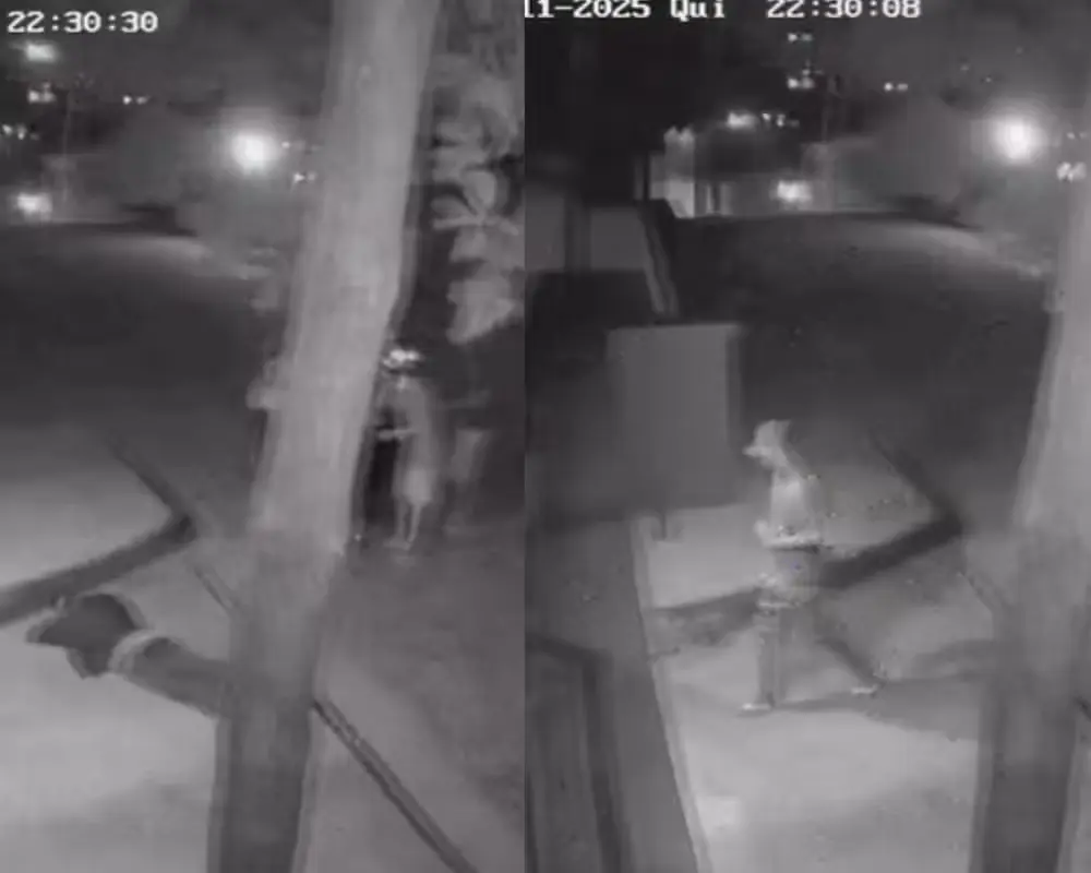 Criminosos roubam entregador e tentam invadir casa de cliente (Foto: Câmeras de segurança)
