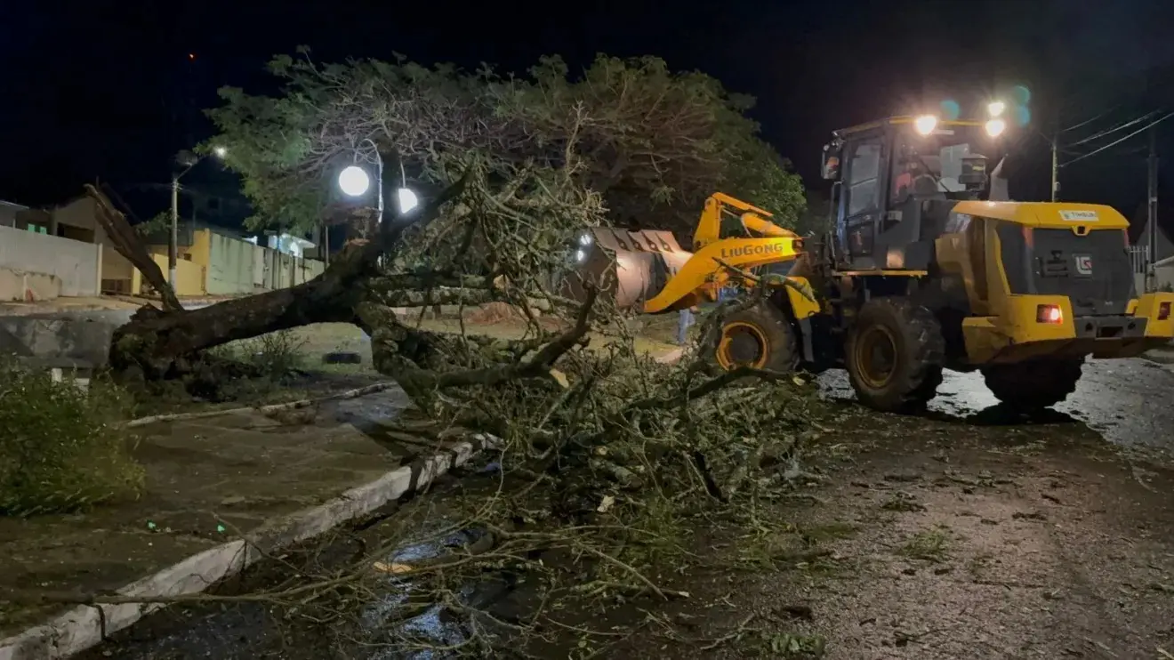 Defesa Civil aciona alerta severo em SP após chuvas fortes e quedas de árvores; previsão é de temporal nas próximas horas
