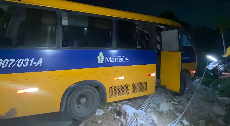 Vídeo: ônibus perde controle, bate em poste e fica suspenso em barranco (Foto: Reprodução)