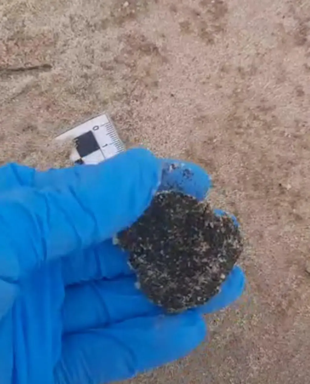 manchas de óleo foram encontradas na faixa de areia de fortaleza e aquiraz