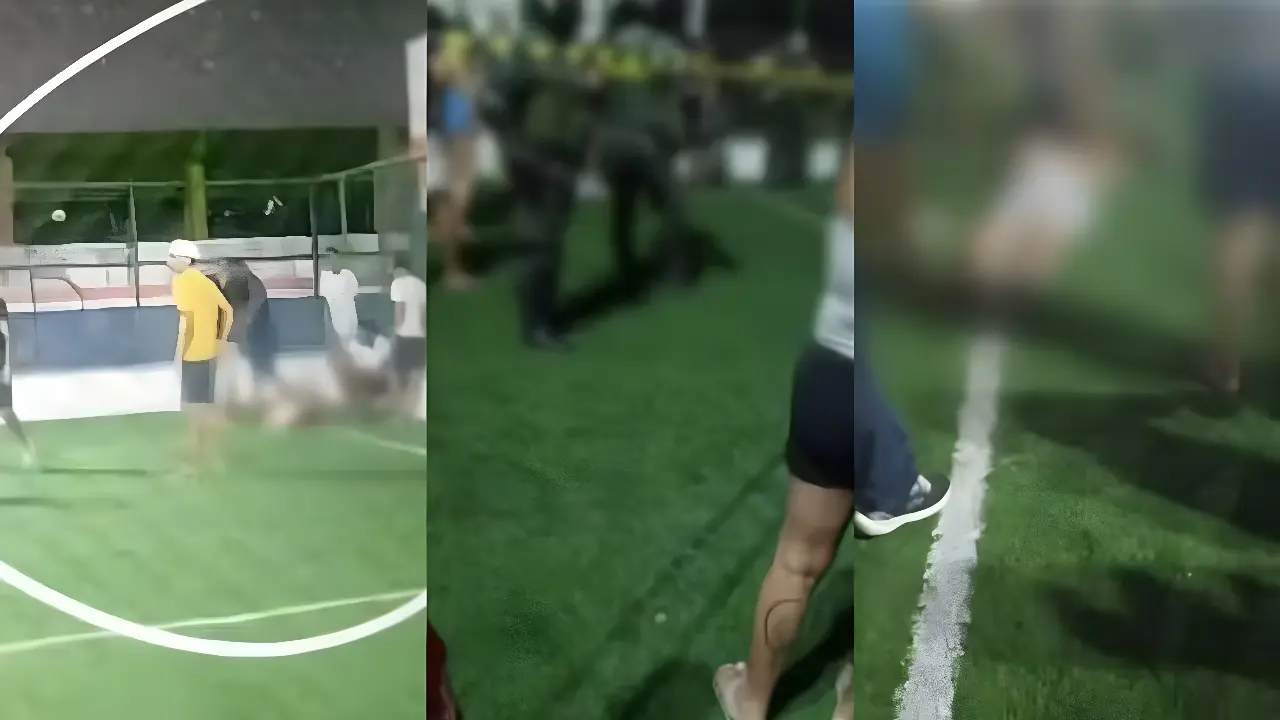 Reprodução